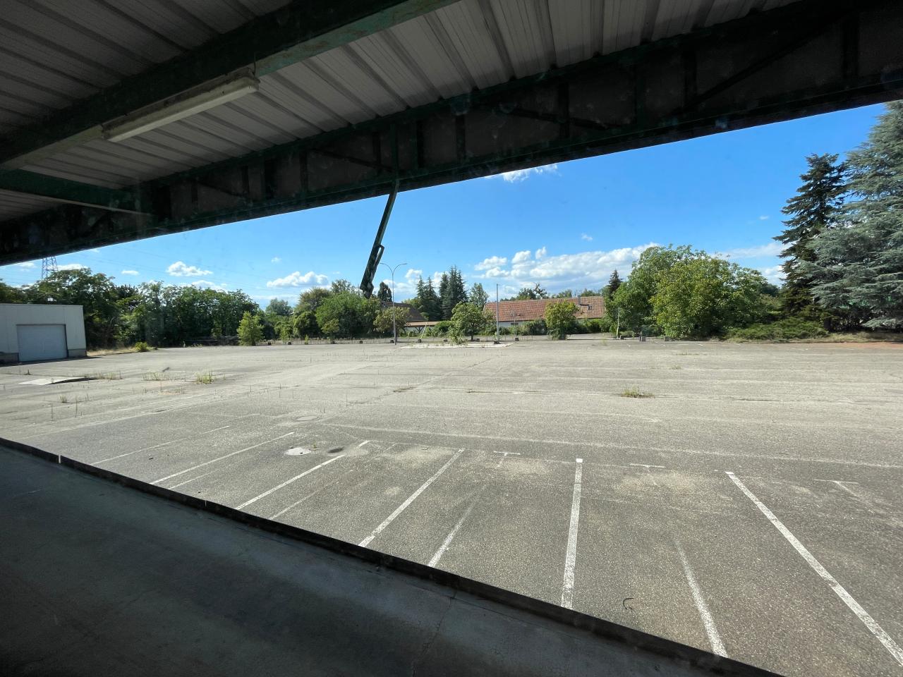 Vente entrepôt Illkirch-Graffenstaden Bas-Rhin OVLOG2537753 9