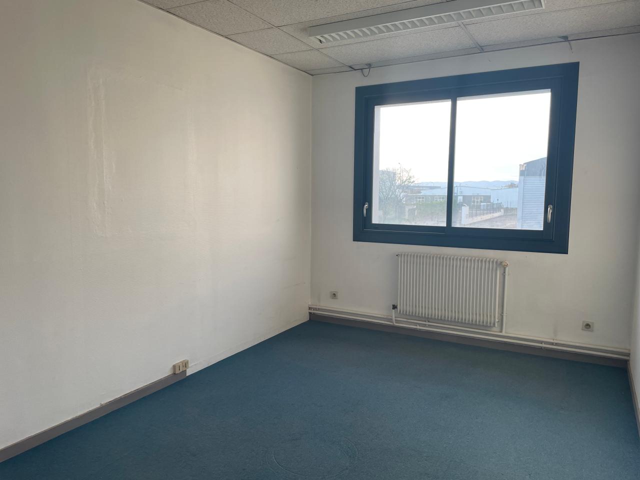 Location local d'activité Chassieu Rhône OLACT2310447 10