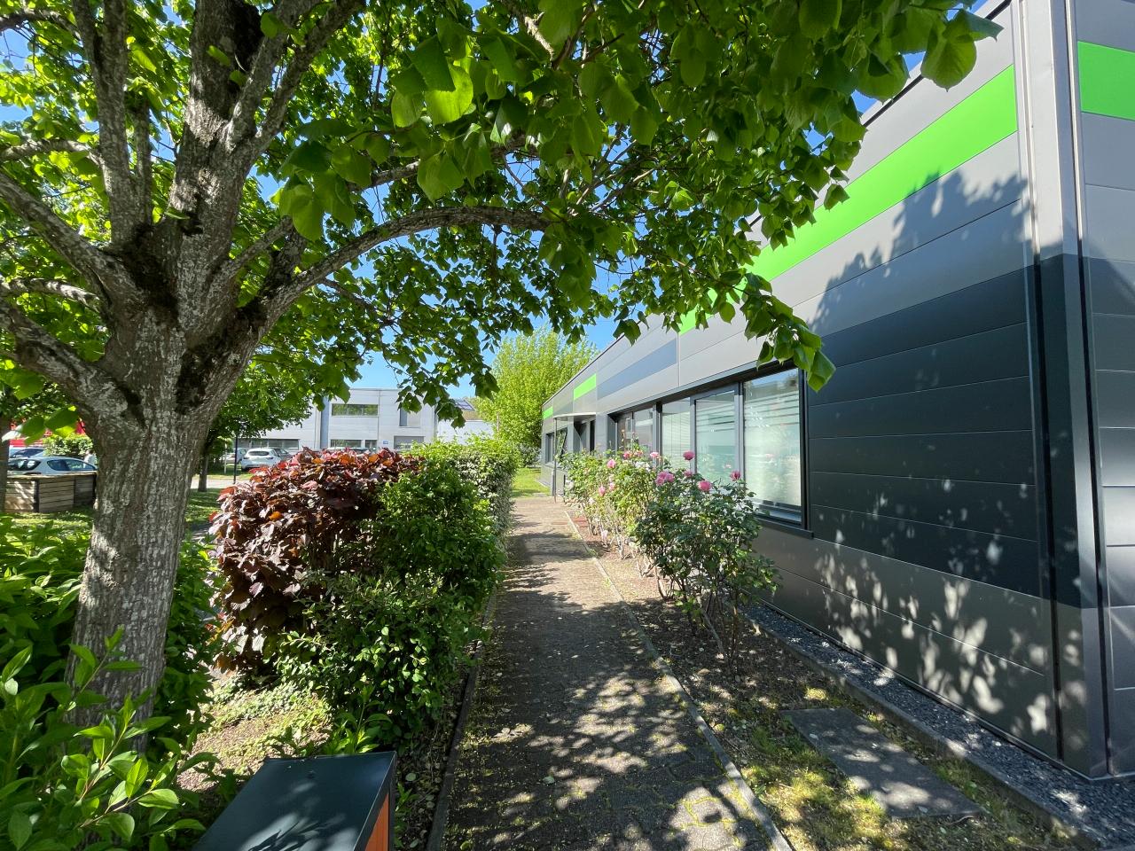 Vente bureau Ramonville-Saint-Agne Haute-Garonne OVBUR2428442 5