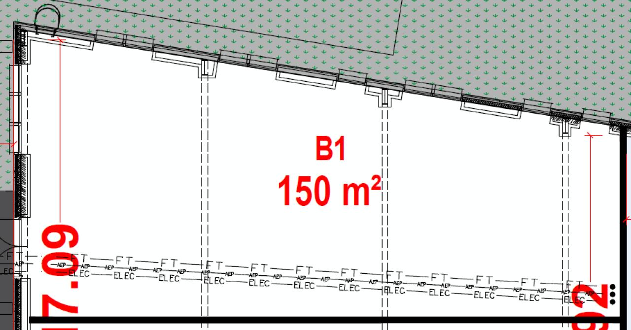 Vente local d'activité Bouëxière Ille-et-Vilaine OVACT2531821 5