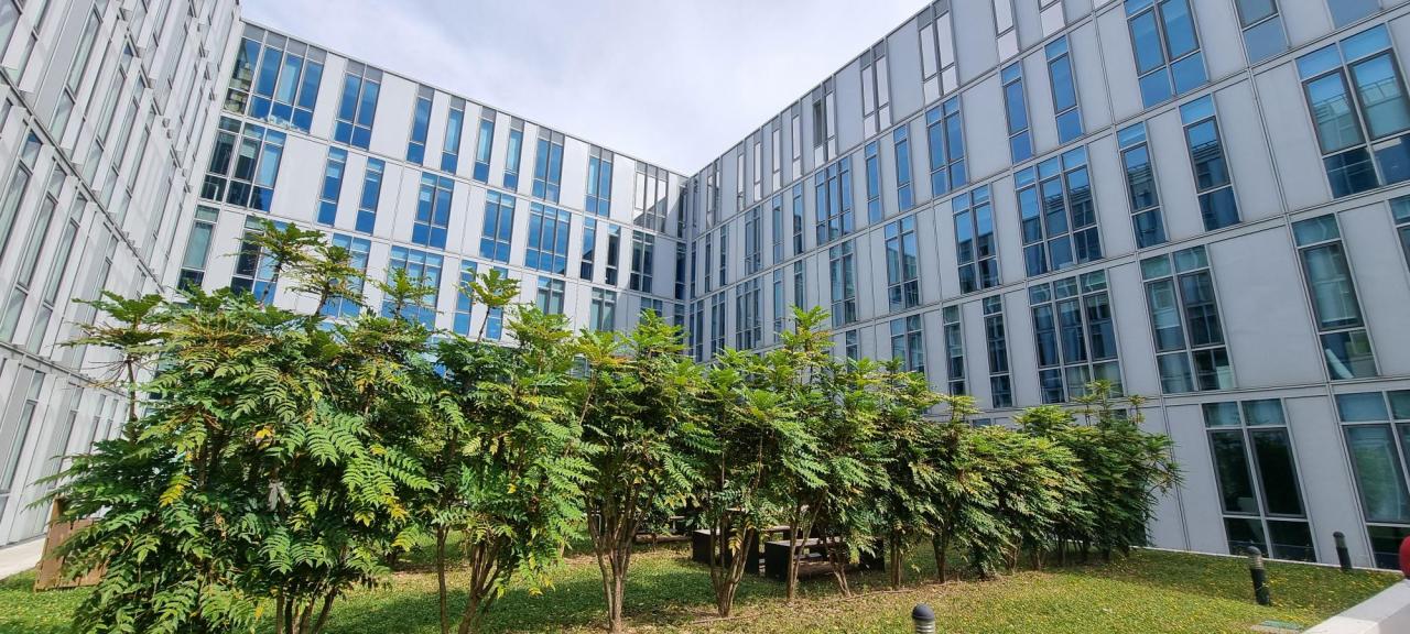 Location bureau Lyon Rhône OLBUR2203208 1