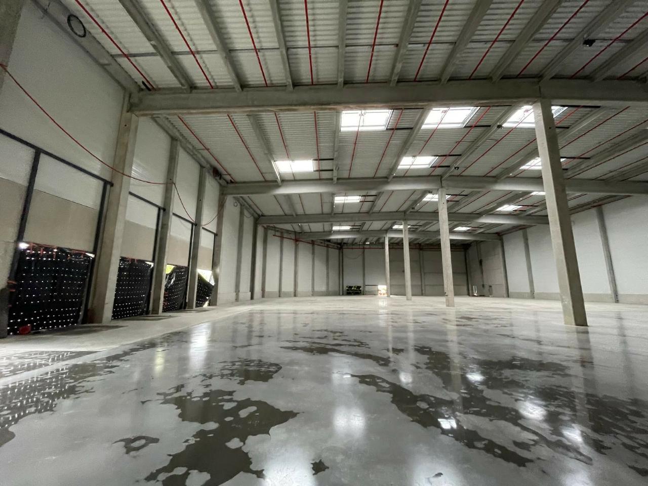 Location local d'activité Seclin Nord OLACT2420917 9