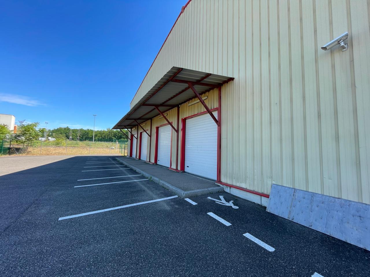 Location local d'activité Scherwiller Bas-Rhin OLACT2424468 8