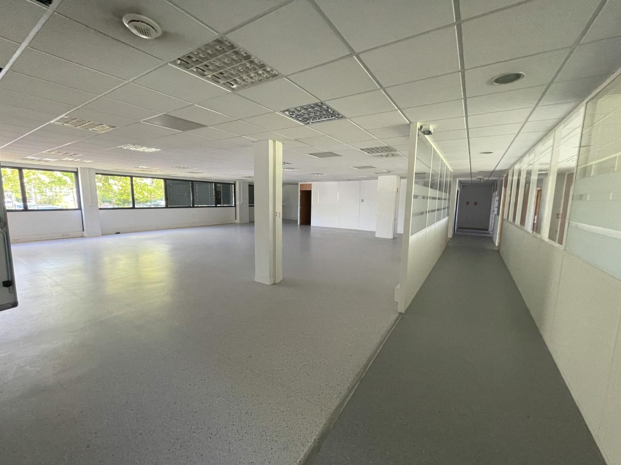 Location local d'activité Toulouse Haute-Garonne OLACT2535972 7