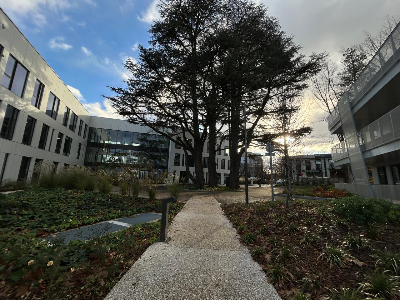 Vente bureau Limonest Rhône OVBUR2309019 4