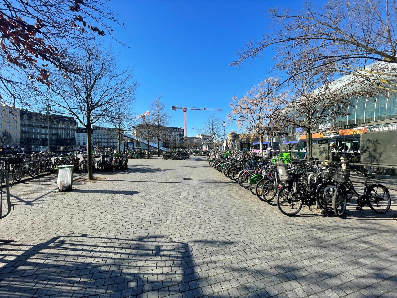 Location bureau Strasbourg Bas-Rhin OLBUR2427550 15