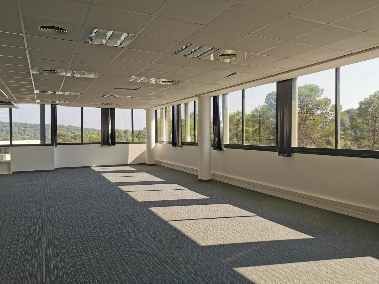 Location bureau Mougins Alpes-Maritimes OLBUR2420076 5