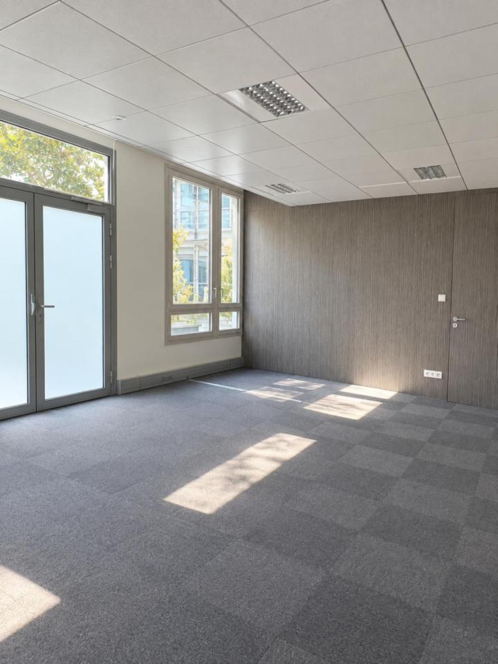 Location bureau Lyon Rhône OLBUR2118931 10