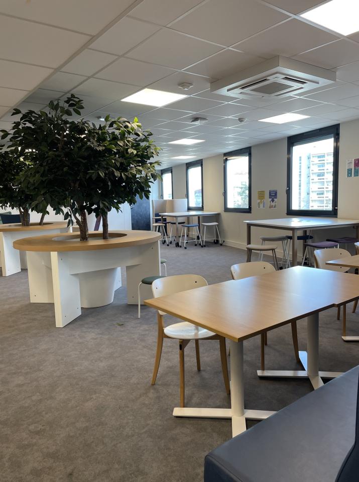 Location bureau Lyon Rhône OLBUR2638782 47