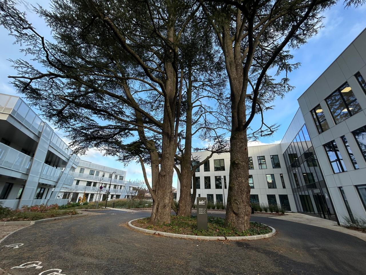 Vente bureau Limonest Rhône OVBUR2309019 5