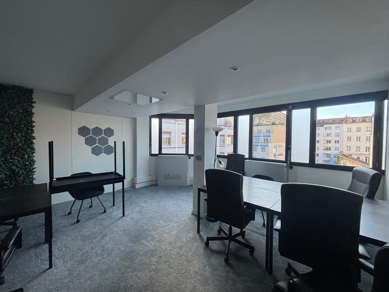 Location bureau Lyon Rhône OLBUR2108978 17
