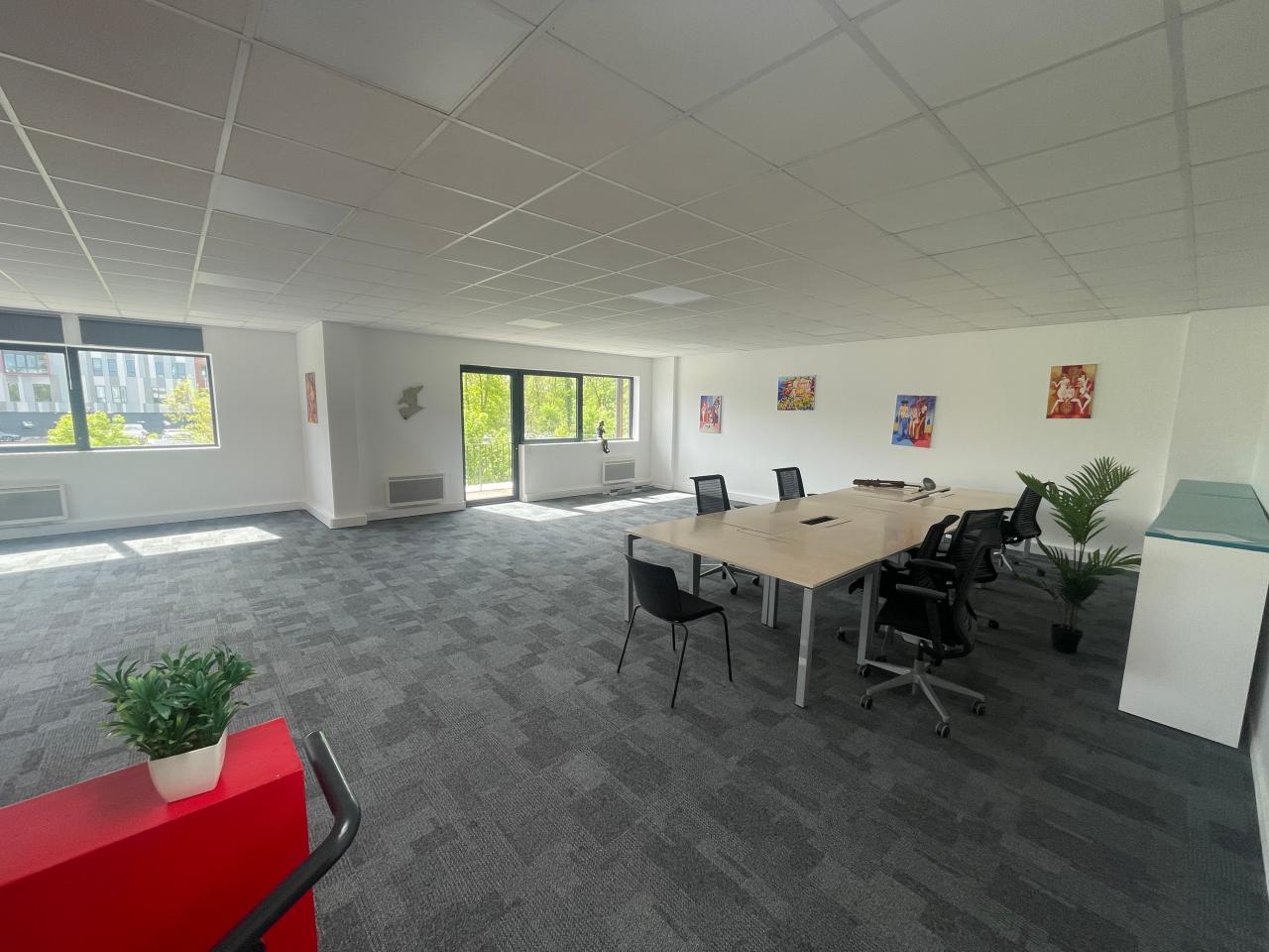 Location local d'activité Neuville-sur-Oise Val-d'Oise OLACT2315426 11