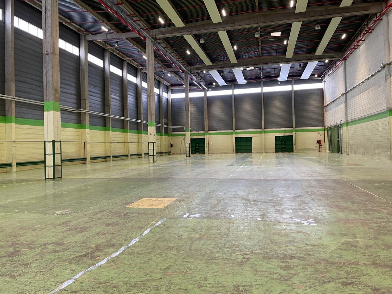 Location entrepôt classe b Orly Val-de-Marne OLLOG2424589 5