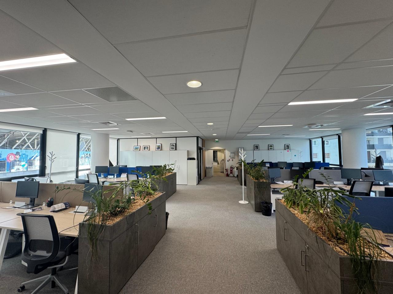 Location bureau Marseille Bouches-du-Rhône OLBUR2531078 5