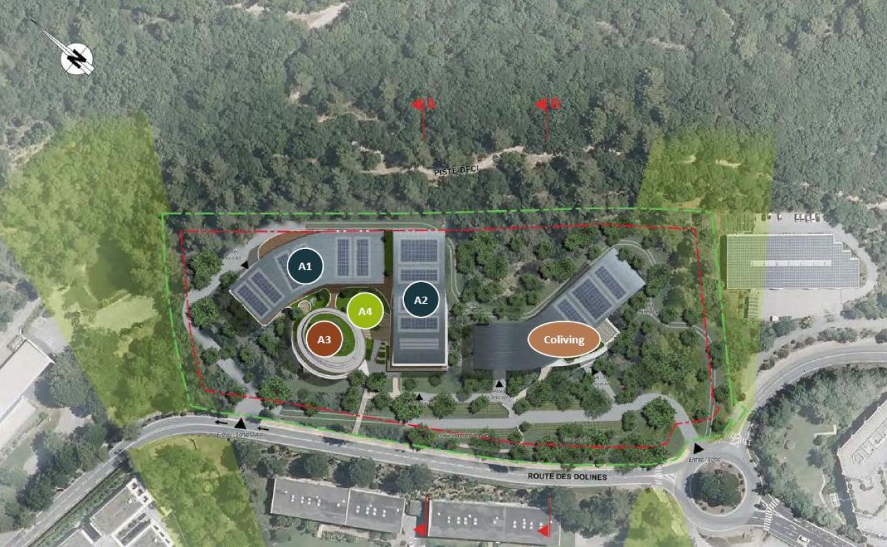 Location bureau Biot Alpes-Maritimes OLBUR2314783 20