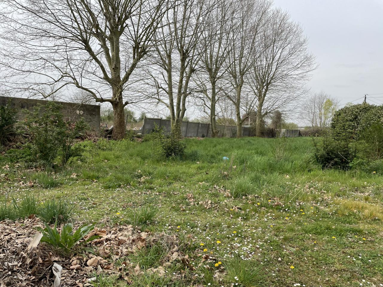 Vente local d'activité Les Mureaux Yvelines OVACT2202051 9