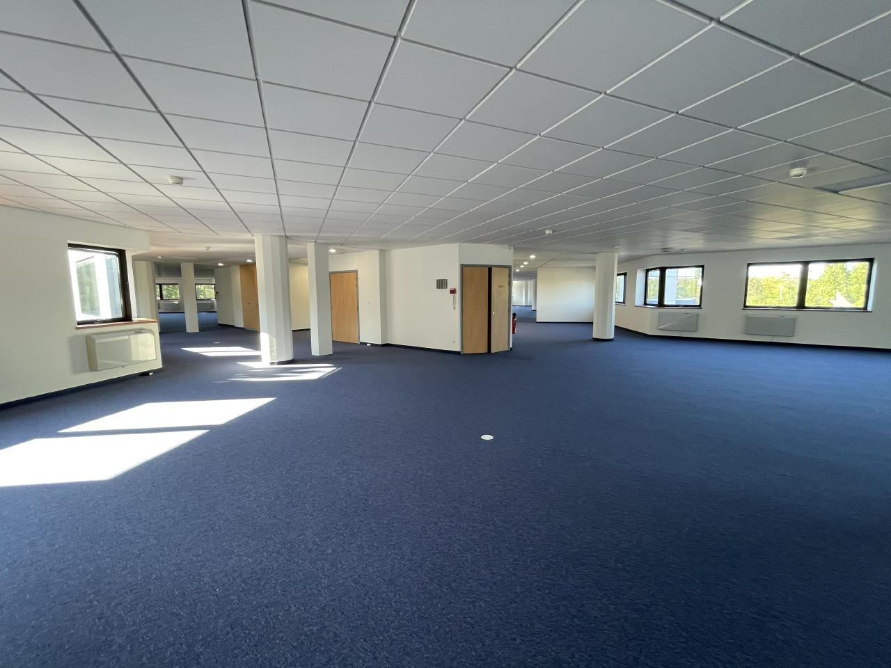 Location bureau Illkirch-Graffenstaden Bas-Rhin OLBUR2111260 5