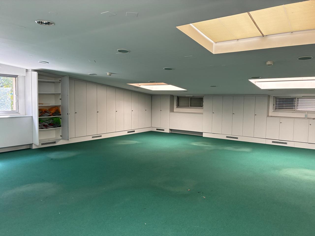 Location local d'activité Hoerdt Bas-Rhin OLACT2644668 10