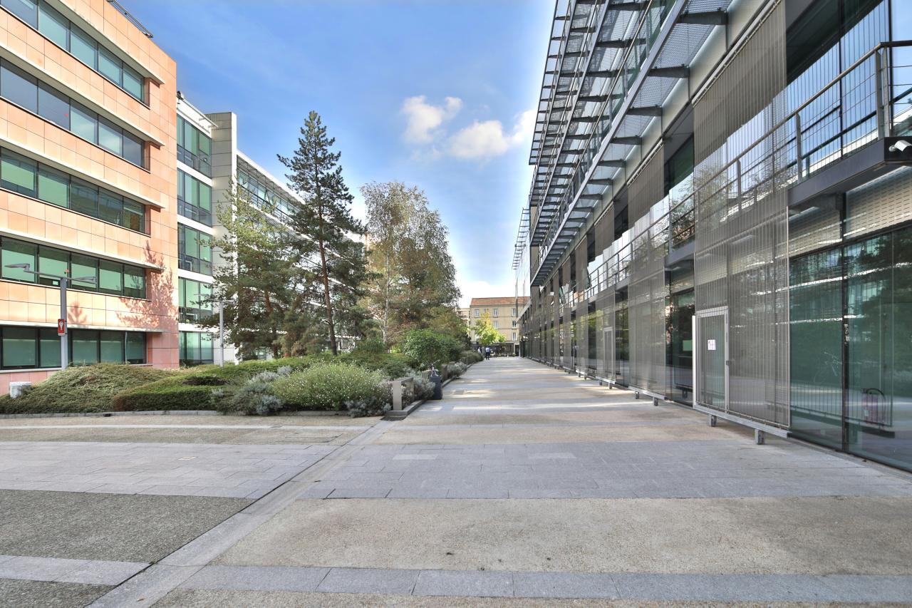 Location bureau Suresnes Hauts-de-Seine OLBUR2001522 6