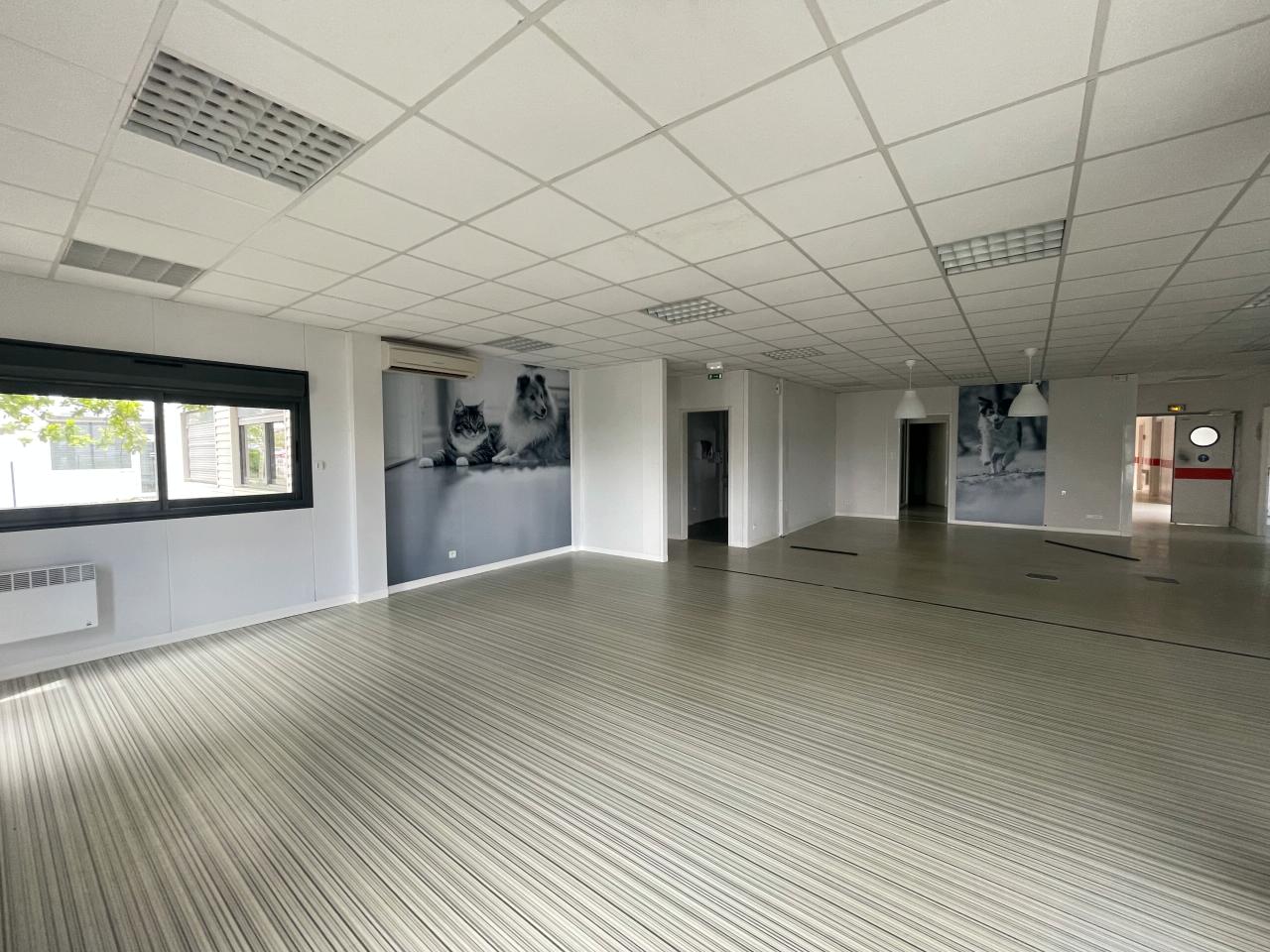 Vente local d'activité Eysines Gironde OVACT2531655 12