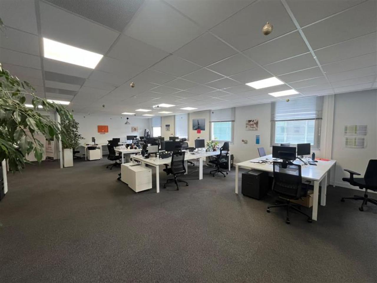 Location bureau Montpellier Hérault OLBUR2318577 29