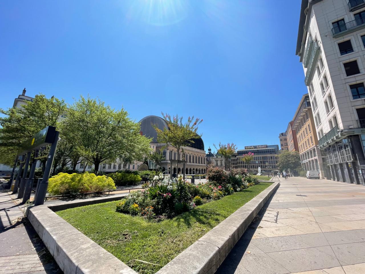 Location bureau Lyon Rhône OLBUR2529425 11