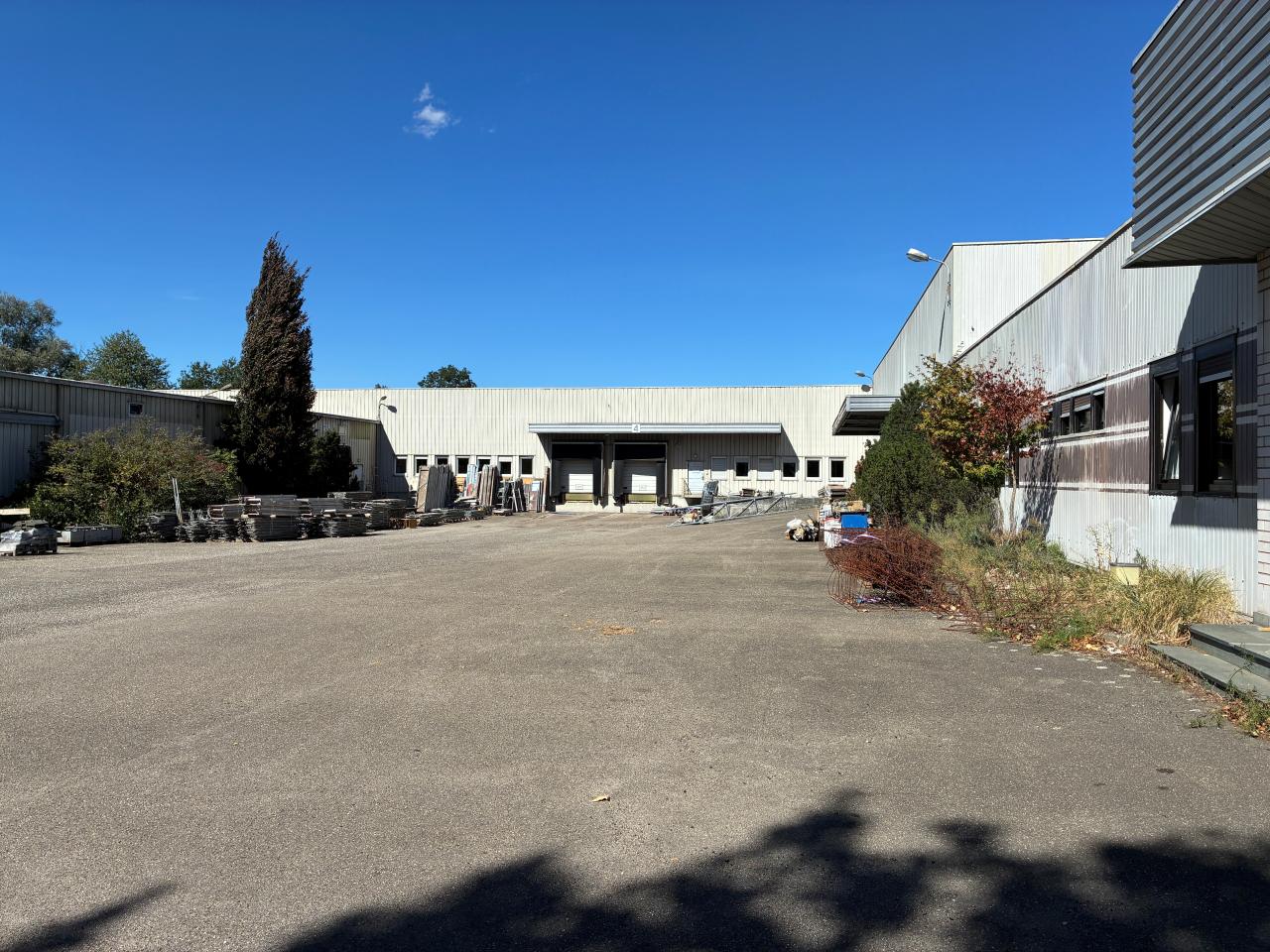 Location local d'activité Hoerdt Bas-Rhin OLACT2644668 3