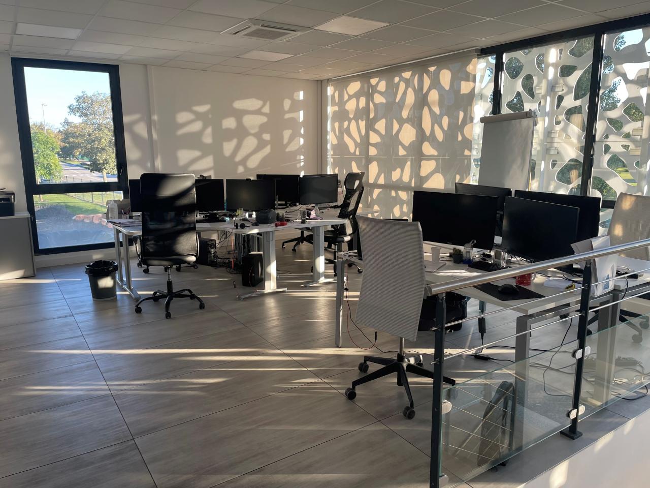 Location local d'activité Saint-Quentin-Fallavier Isère OLACT2532822 5