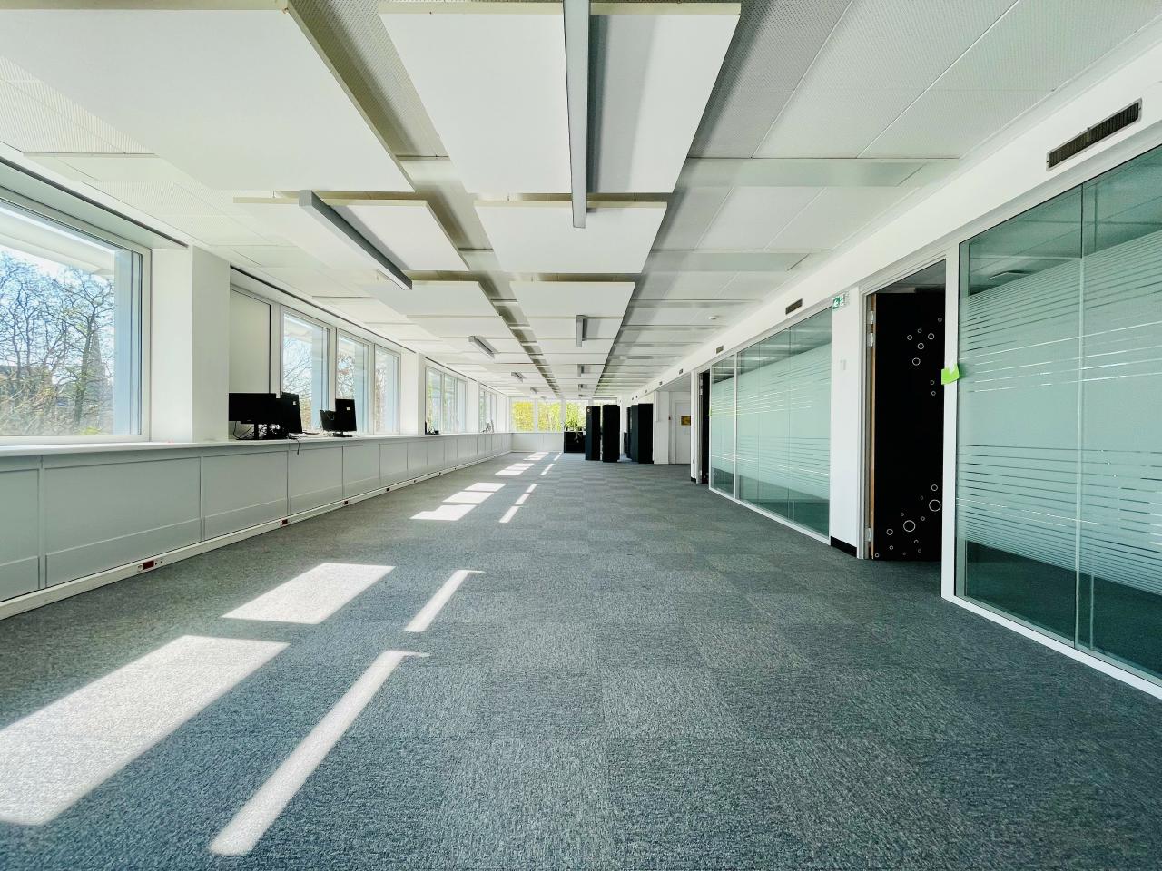 Location bureau Strasbourg Bas-Rhin OLBUR2310518 10