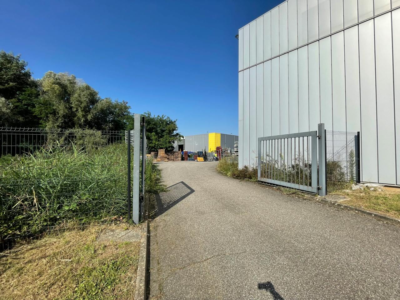 Location local d'activité Mundolsheim Bas-Rhin OLACT2426081 9