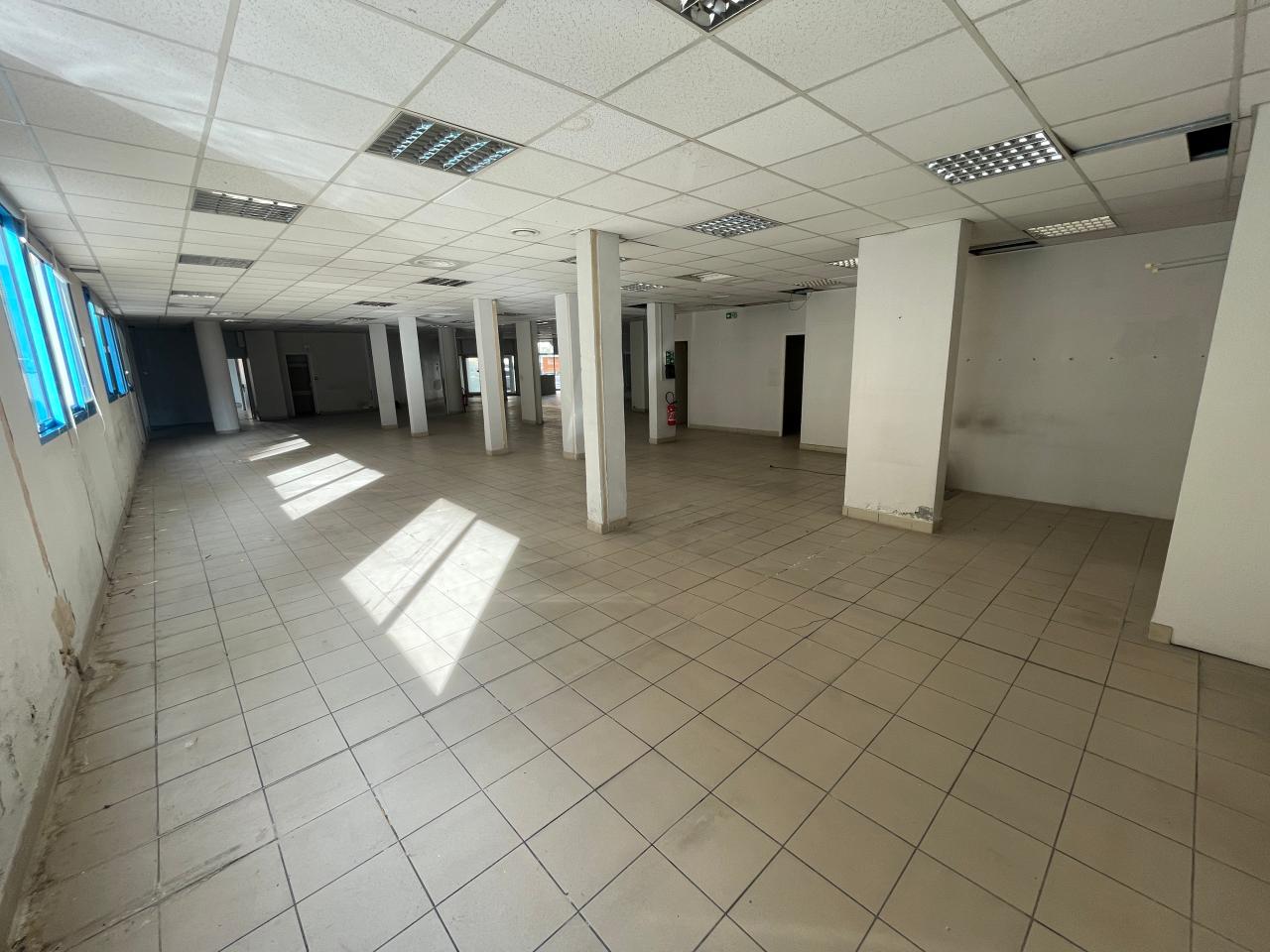 Location local d'activité Nice Alpes-Maritimes OLACT2639399 5