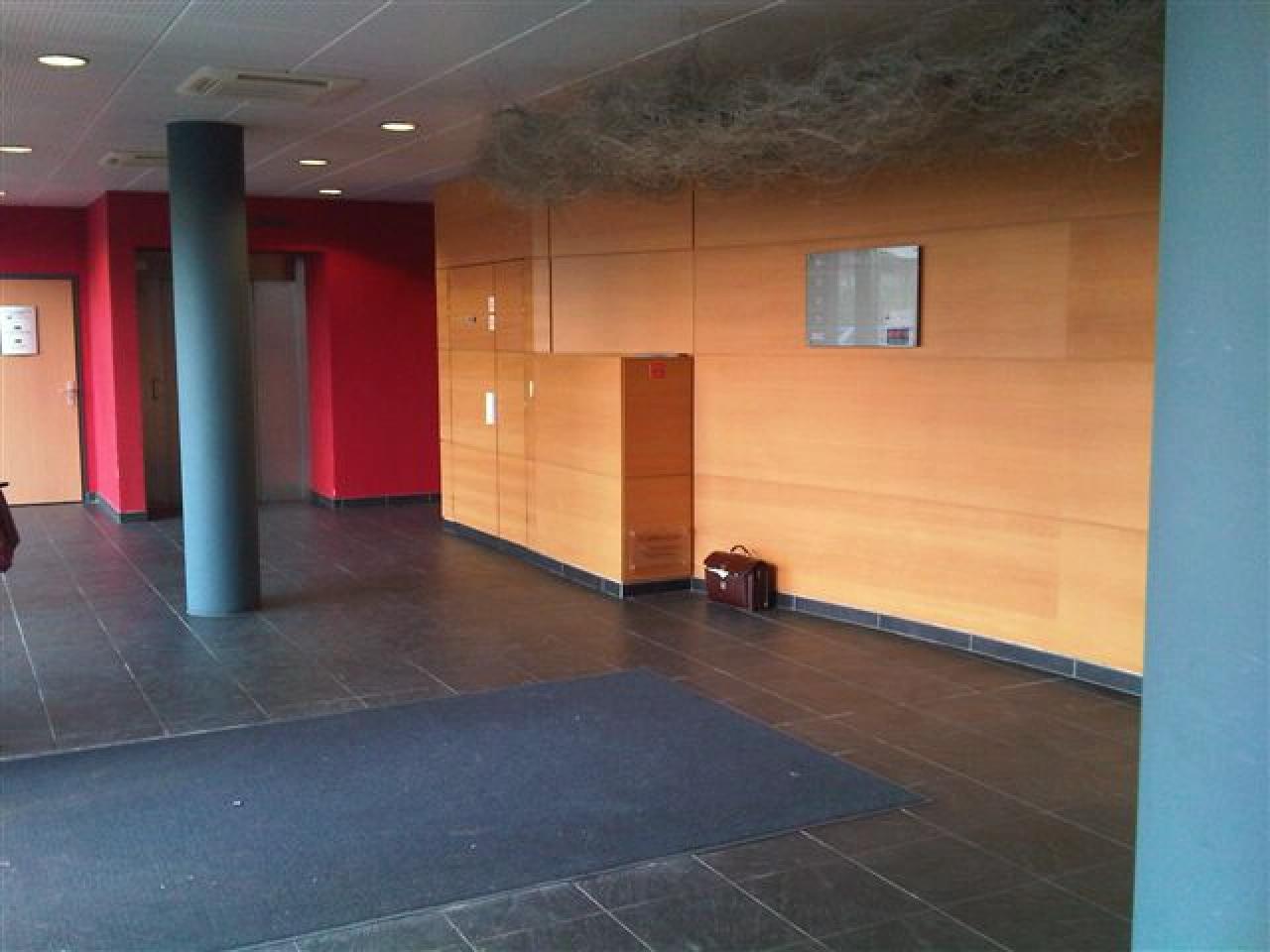 Location bureau Caluire-et-Cuire Rhône OLBUR2108821 12