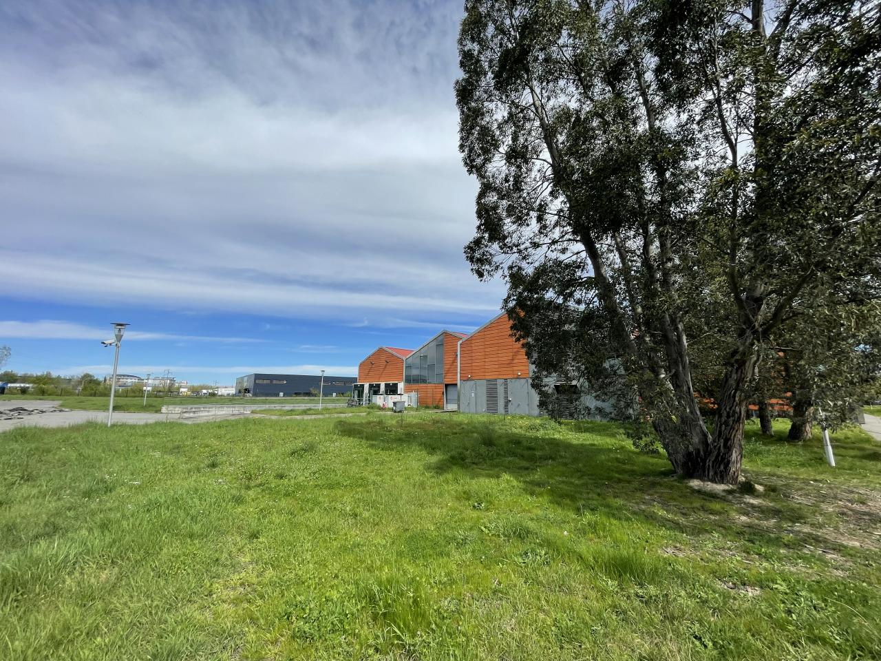 Location local d'activité Toulouse Haute-Garonne OLACT2421873 5