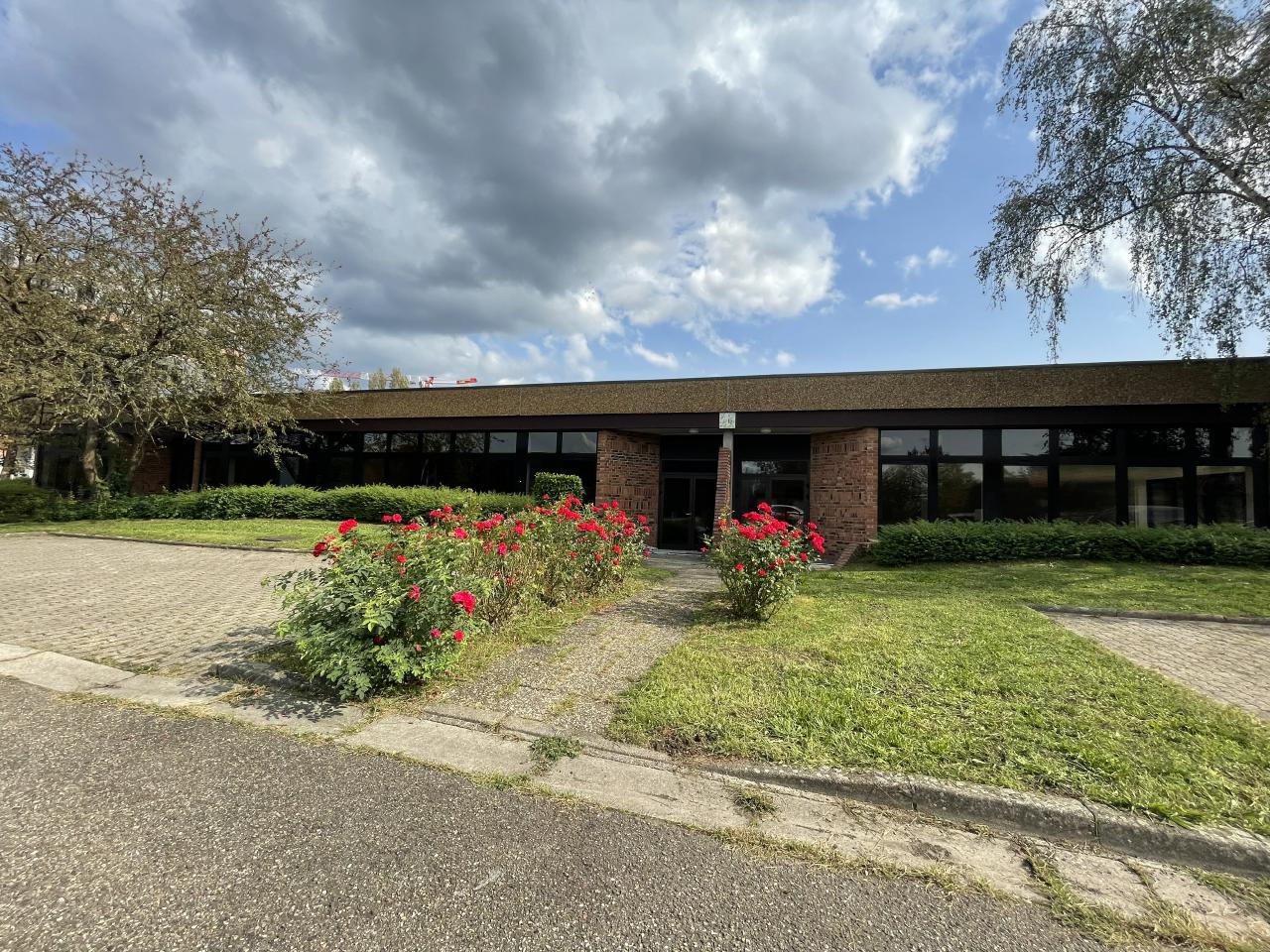 Location bureau Lingolsheim Bas-Rhin OLBUR2536007