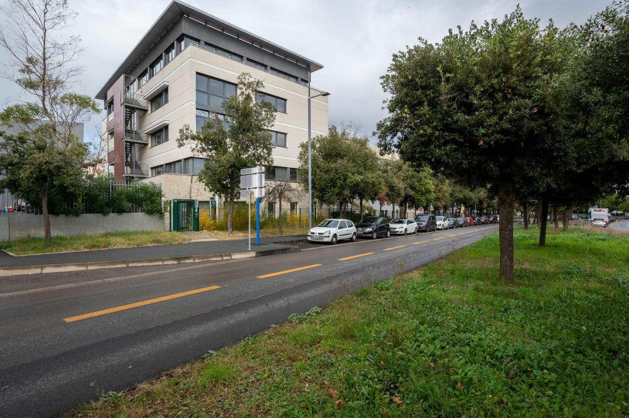 Location bureau Montpellier Hérault OLBUR2422065