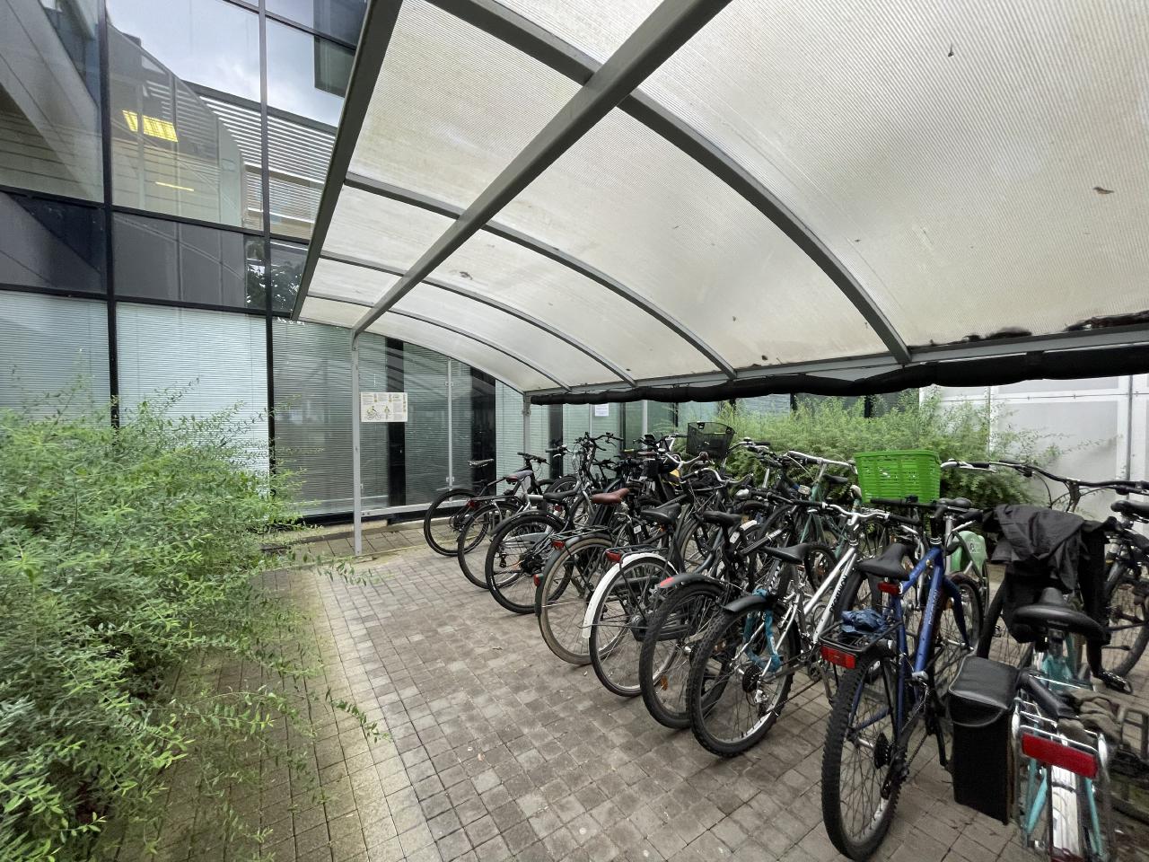 Location bureau Strasbourg Bas-Rhin OLBUR2423197 6