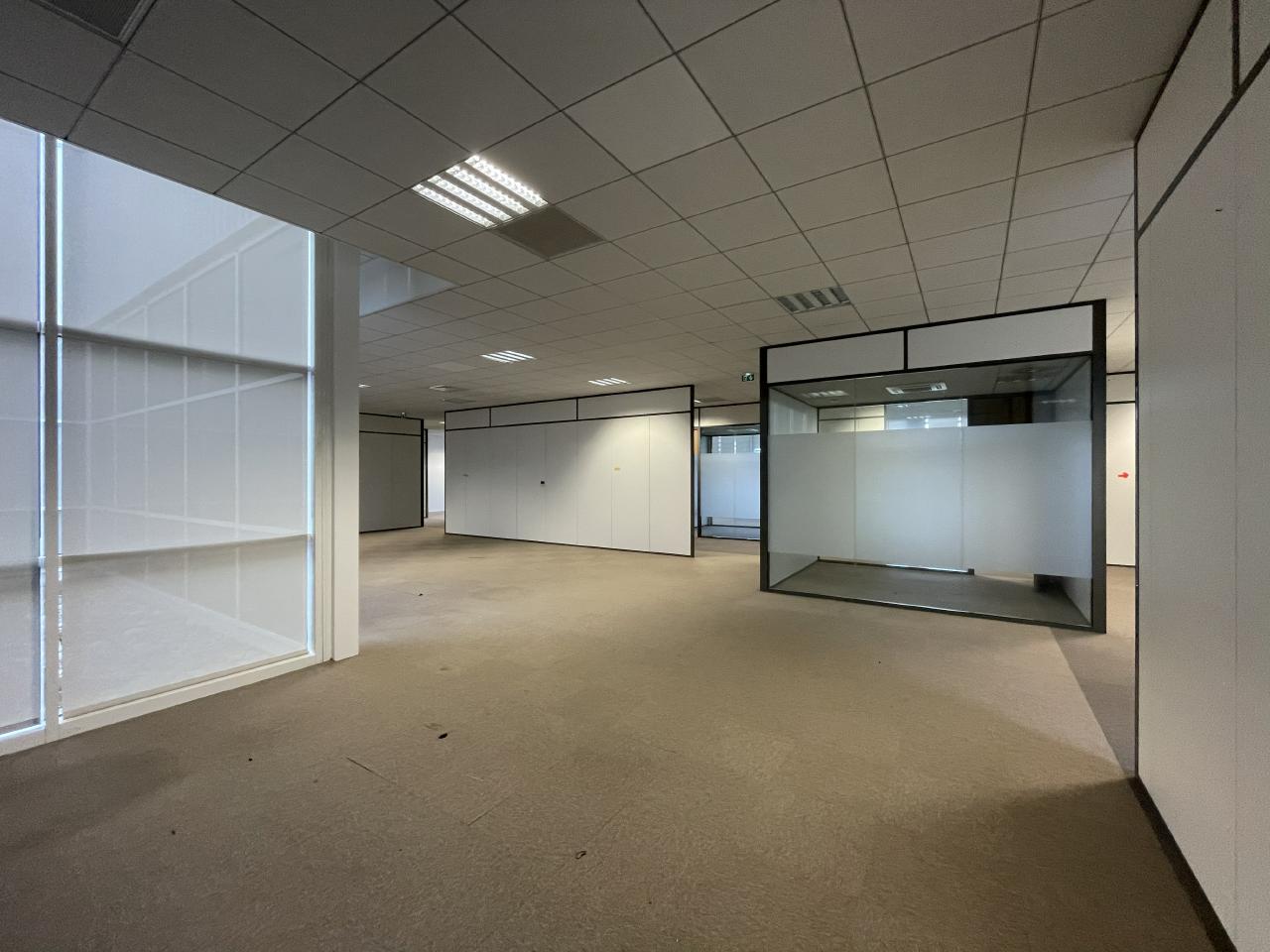 Location local d'activité Toulouse Haute-Garonne OLACT2207339 10