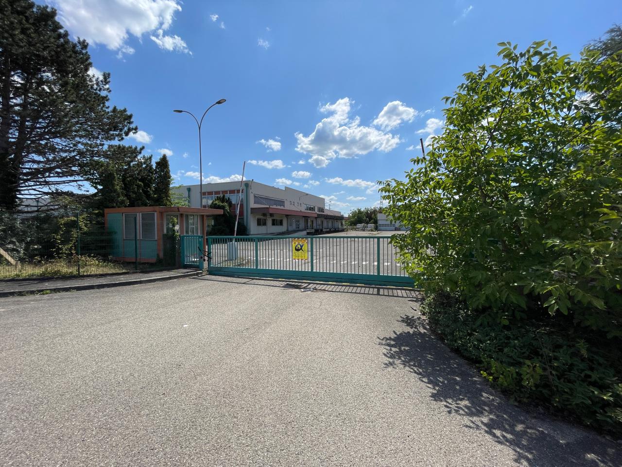 Vente entrepôt Illkirch-Graffenstaden Bas-Rhin OVLOG2537753 4