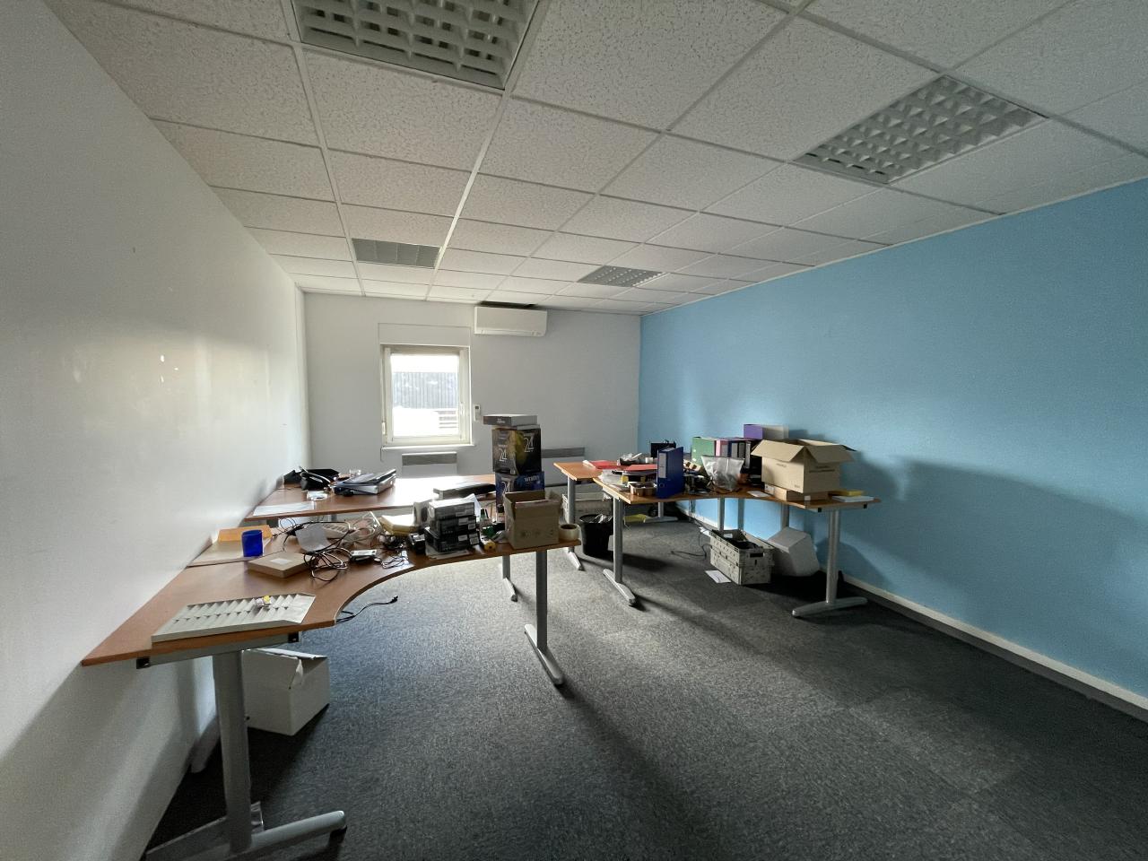 Location local d'activité Mundolsheim Bas-Rhin OLACT2423735 13