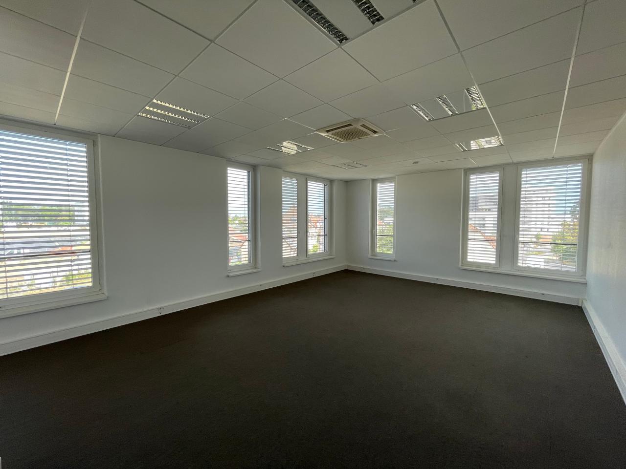 Location bureau Strasbourg Bas-Rhin OLBUR2112206 7