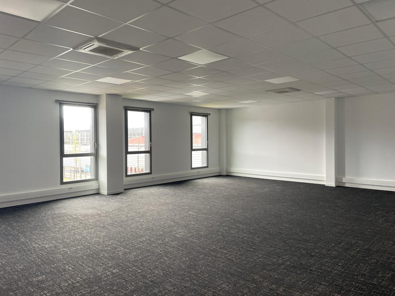 Location local d'activité Chassieu Rhône OLACT2531019 6