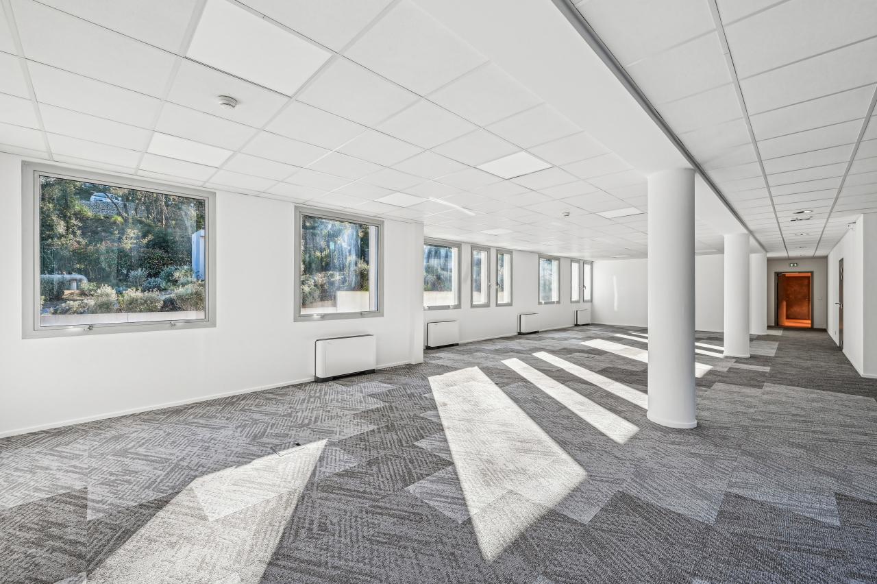 Vente bureau Biot Alpes-Maritimes OVBUR2201030 9