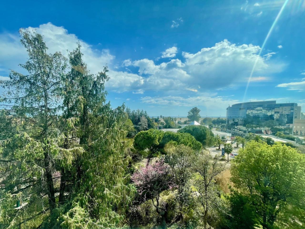 Location bureau Nice Alpes-Maritimes OLBUR2533064 7