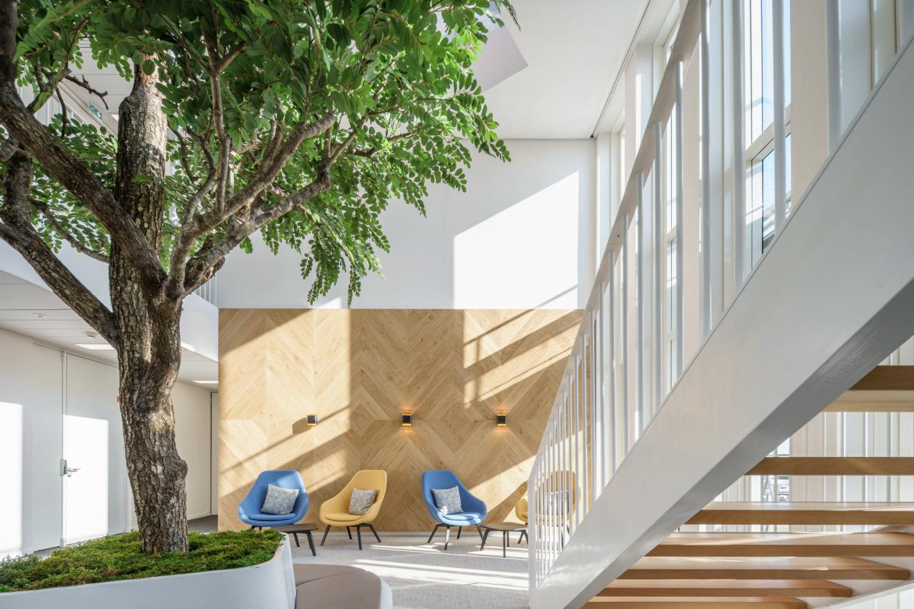 Location bureau Bagneux Hauts-de-Seine OLBUR2100344 38