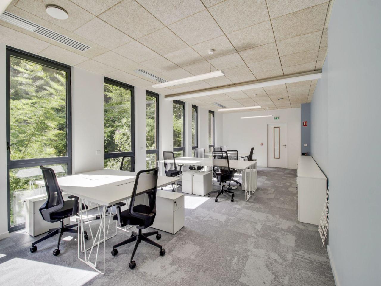 Location coworking Lyon Rhône OLBUR2318148 5