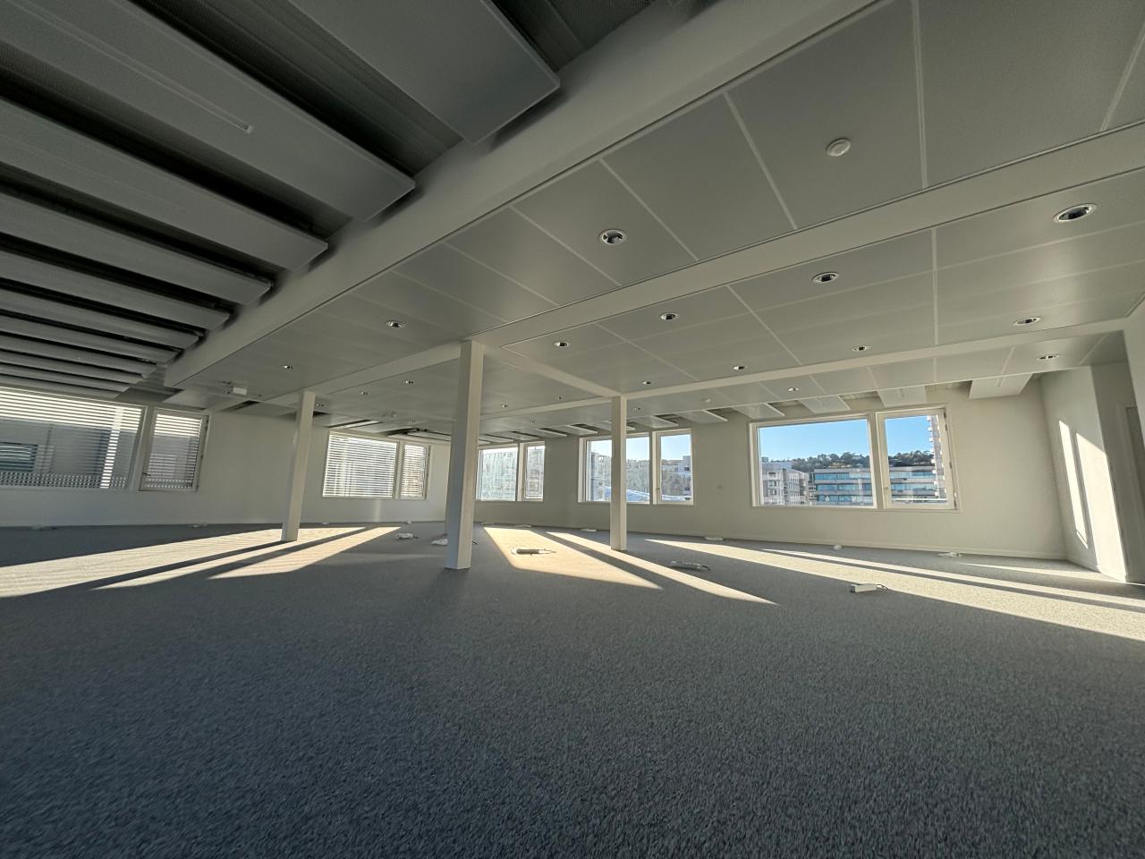 Location bureau Lyon Rhône OLBUR2109202 16