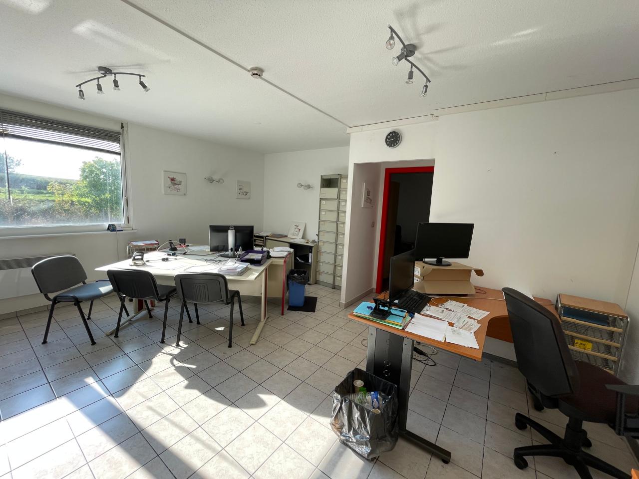 Location local d'activité Dettwiller Bas-Rhin OLACT2536553 14