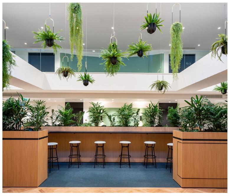 Location bureau Paris OLBUR2529198 7