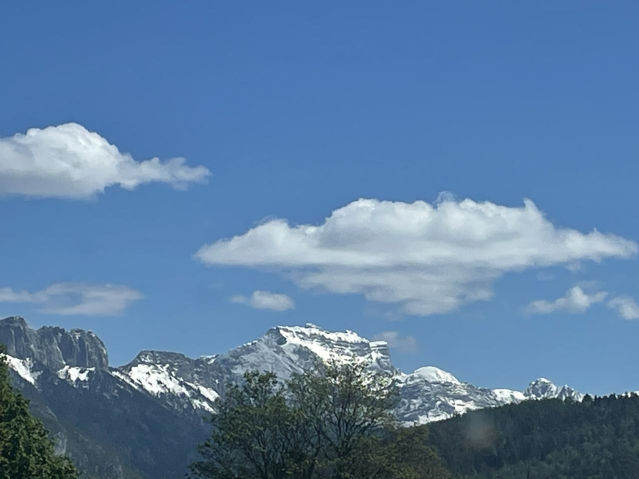 Location local d'activité Meythet Haute-Savoie OLACT2318022 4