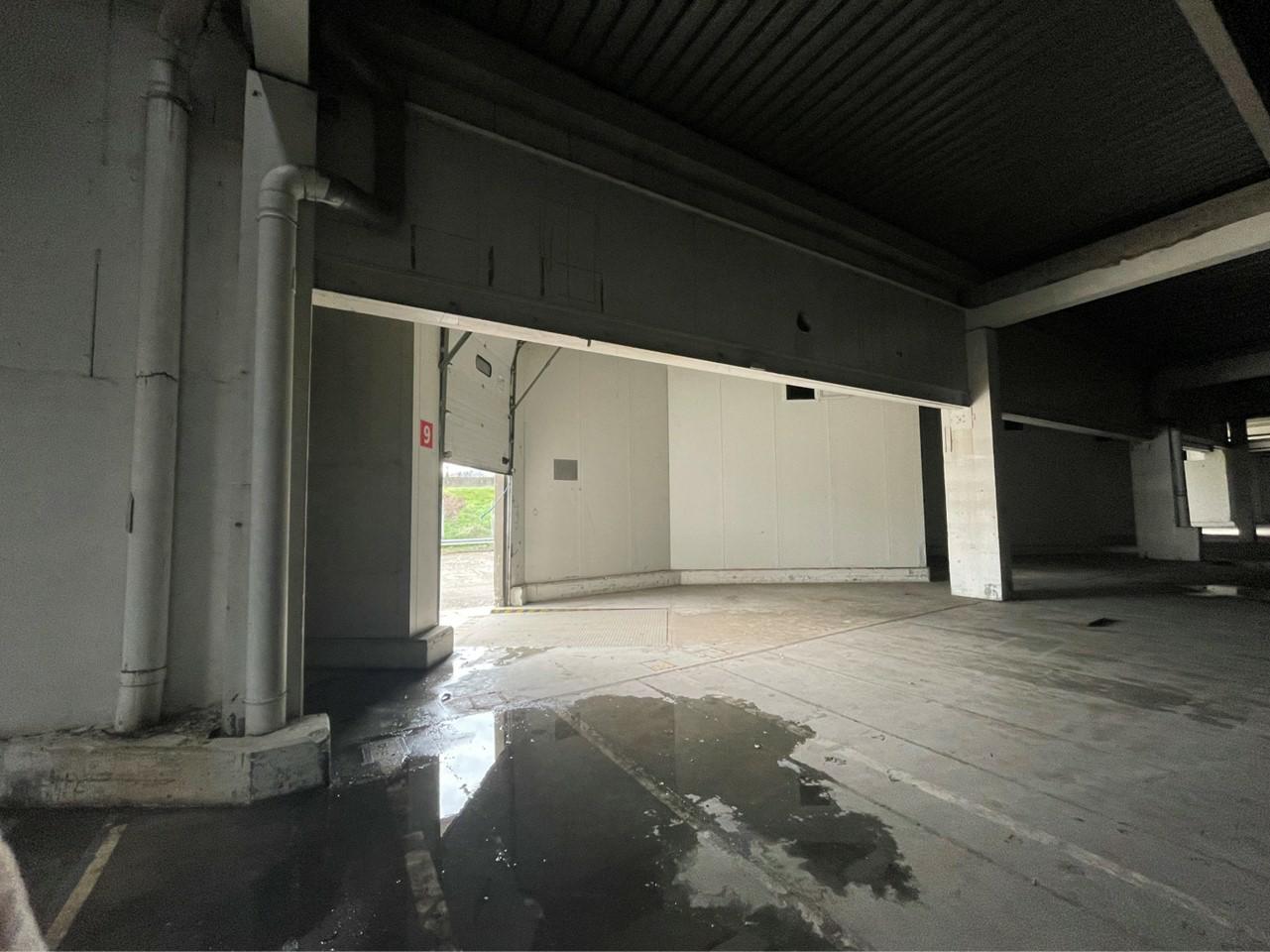 Location local d'activité Chasse-sur-Rhône Isère OLACT2421409 3